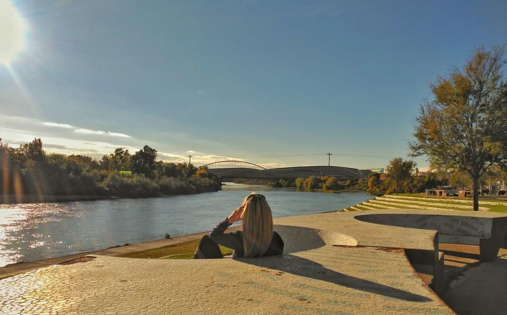 Mirador Del Ebro Apartment Zaragoza Bagian luar foto